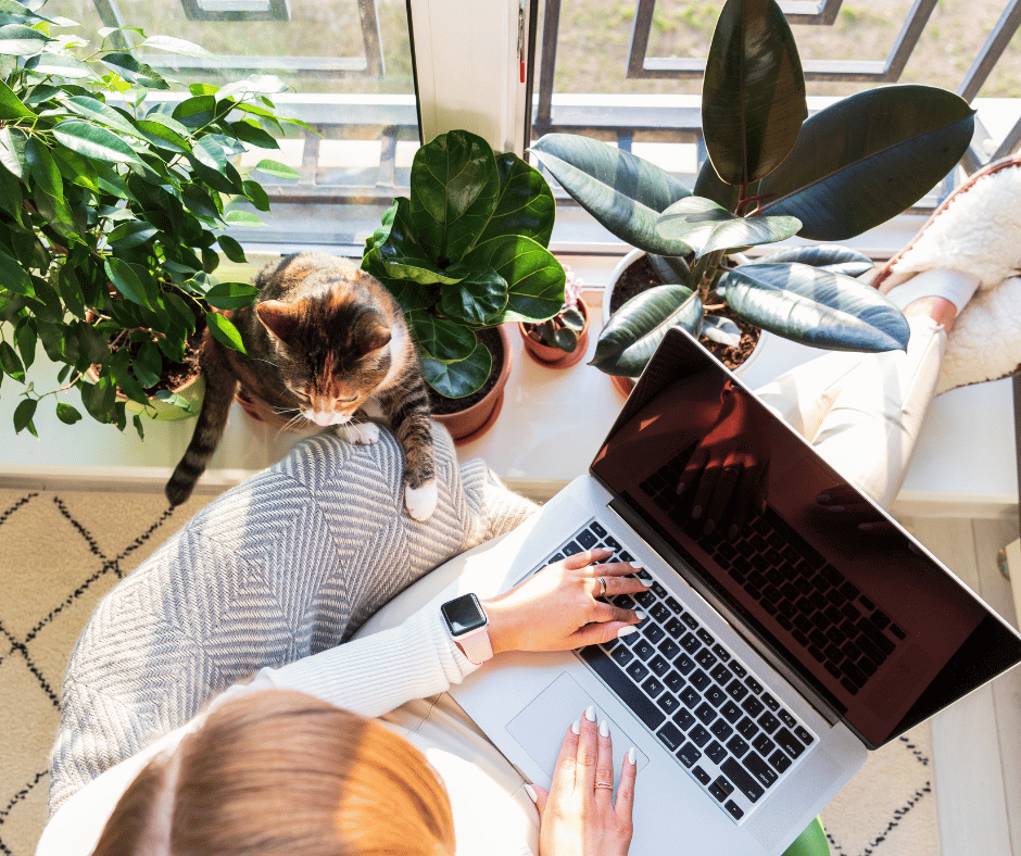 Working with Freelancers or Agencies
