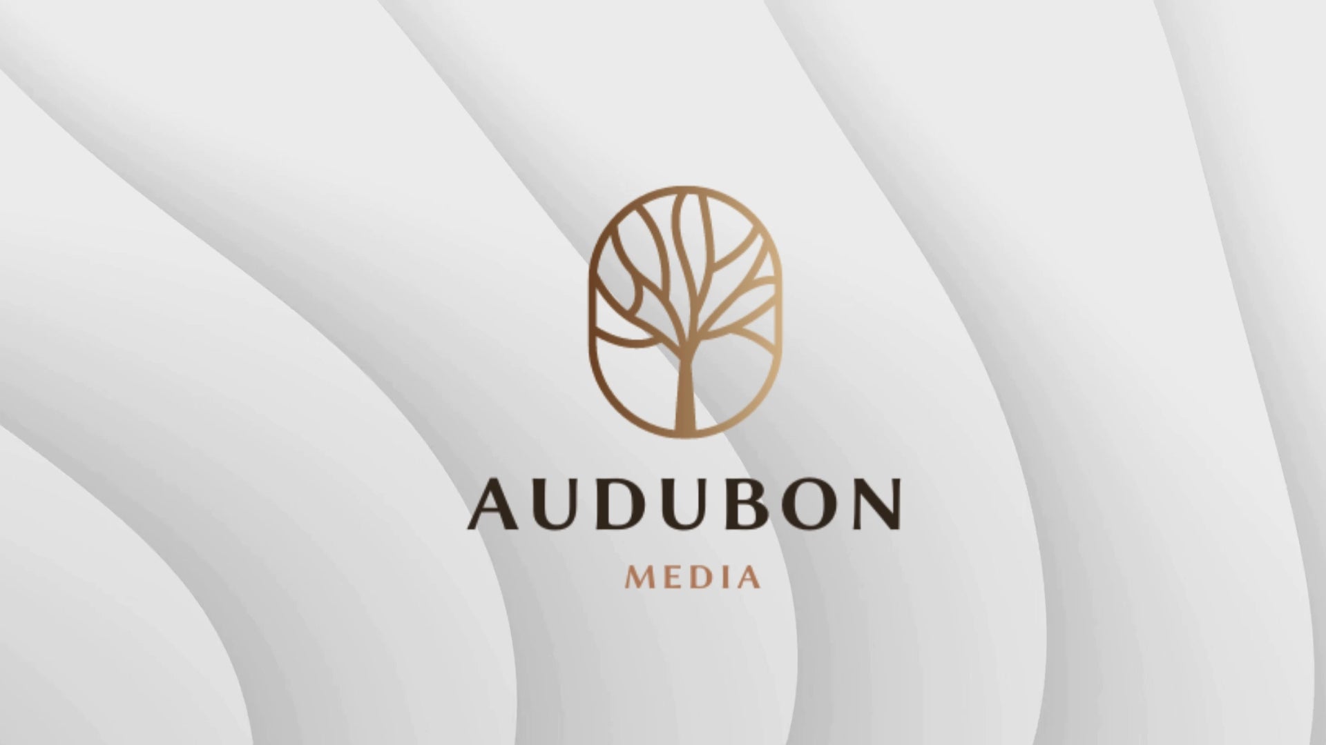Load video: Audubon-Media-Advertising-Social-Media-Management-Ditigal-Marketing-Website-Design-Consulting